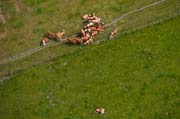 Rundflug 2011 0152